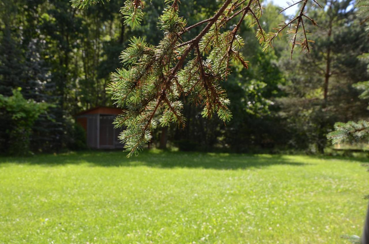 Agroturystyka Czekaj Przy Suntago Lublinow Eksteriør billede