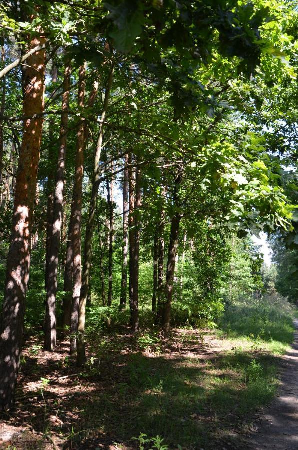 Agroturystyka Czekaj Przy Suntago Lublinow Eksteriør billede